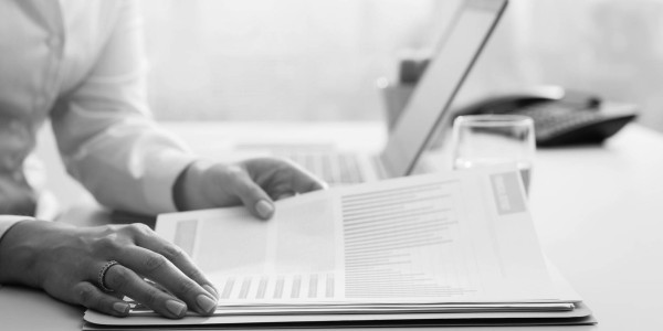 Asesoría Contable / Gestión Contabilidad Lalueza · Planificación, Control y Seguimiento Presupuestario